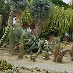 Daire Bonanza Benalmádena