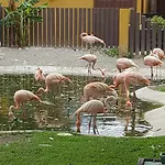 Bonanza * Benalmádena