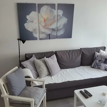 Apartment Bonanza